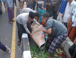 Kecelakaan Tunggal, Pengendara Motor Tewas di Tempat