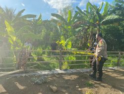 Seorang Kakek Ditemukan Meninggal di Kebun Warga 