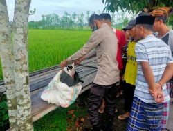 Jasat Bayi Perempuan dan Kertas ‘Wasiat’ Ditemukan Dalam Kardus 