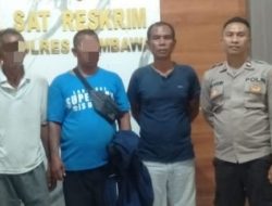 Diduga Maling Sapi, Pelaku dan Penadah Diamankan Polisi 