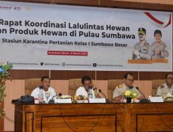 Bupati Sumbawa Minta Pengawasan Lalulintas Ternak Diperketat 