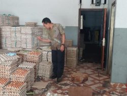 Pemda Sumbawa Pastikan Pasokan Telur Ayam Aman Sampai Lebaran 