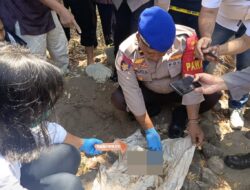 Penemuan Tulang Belulang Bayi di Labuhan Badas, Polisi Olah TKP    