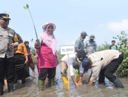 Tanam Mangrove di Pulau Kaung, Pjs Bupati Ingatkan Tetap Jaga Ekosistem Pesisir 